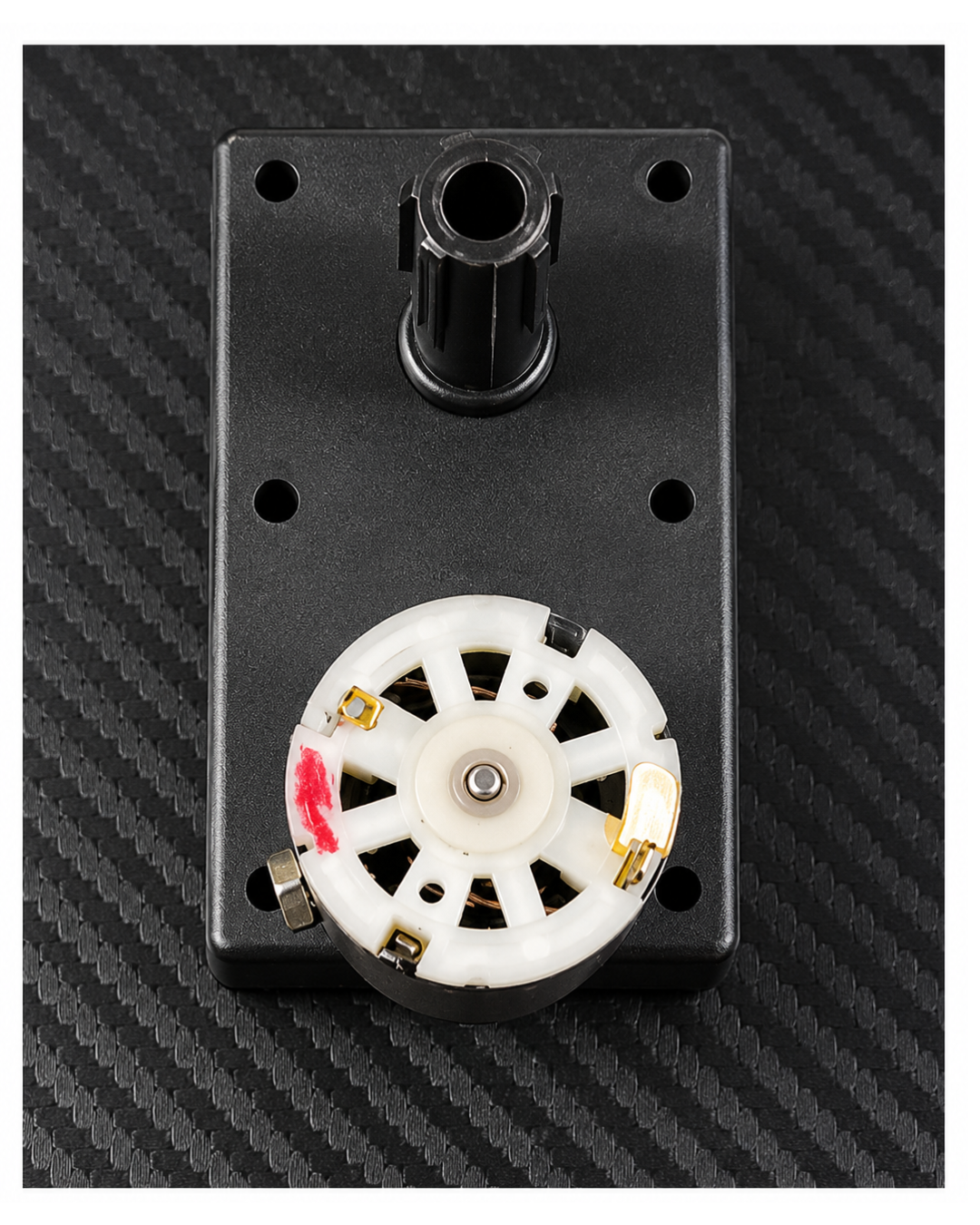 Gear Motor