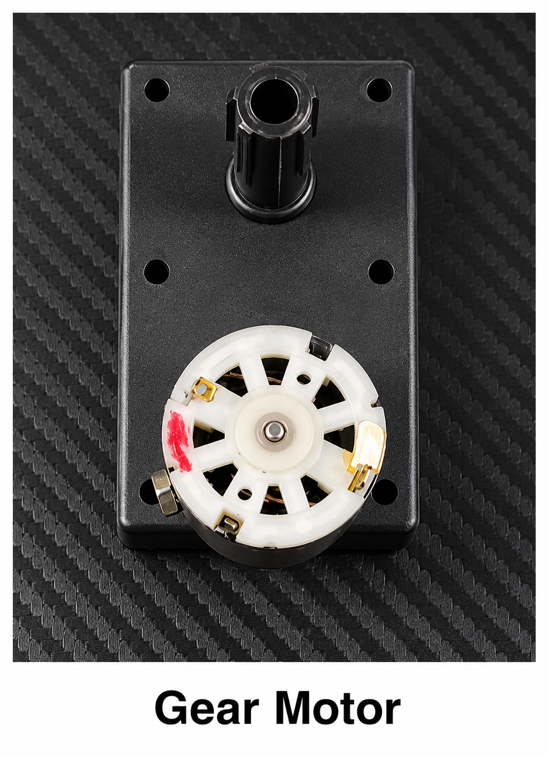 Gear Motor