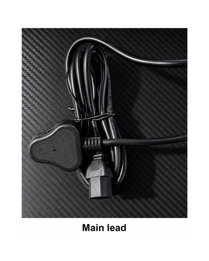 Main Lead