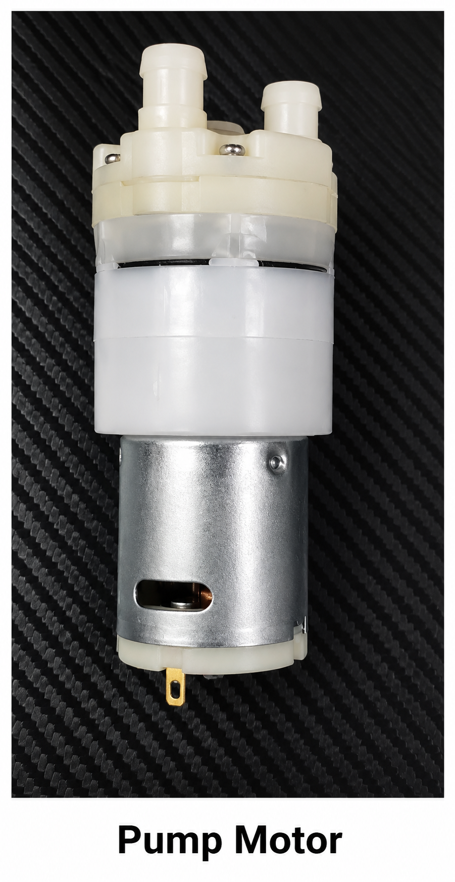 Pump Motor