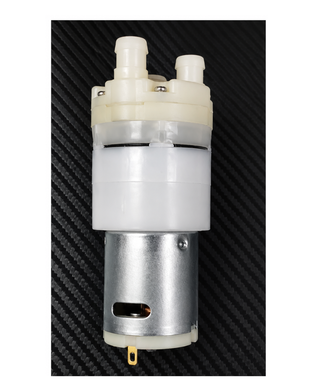 Pump Motor